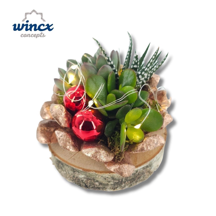 <h4>Concepts® - Pinecone LED Christmas (L) CF</h4>