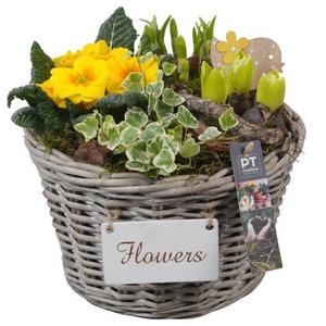PTBM3843 Arrangement Flower Bulbs Mix in rieten mand