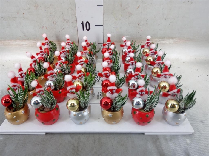 <h4>Arr. Kerst L%</h4>