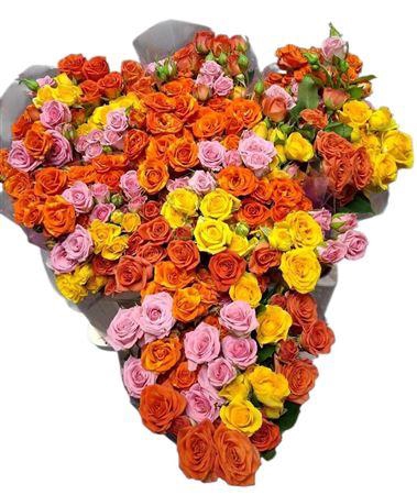 <h4>R Tr Gemengd In Bos</h4>