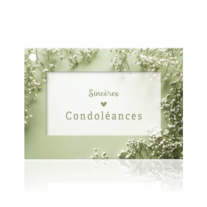 Sincères condoléances (1117912F)