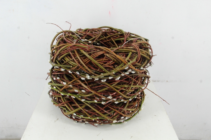 <h4>WREATH  PUSSY WILLOW Ø45CM</h4>