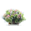 Protea Boeket