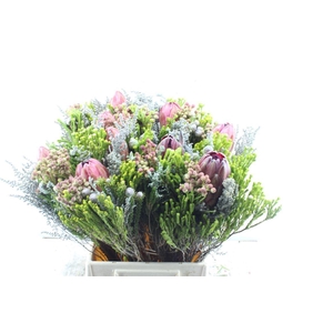 Protea Boeket