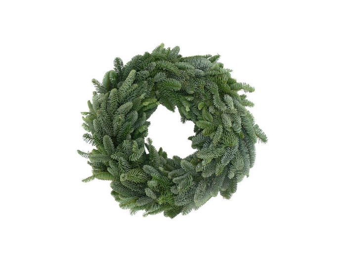<h4>Krans Nobilis Rond 40cm</h4>