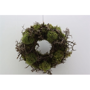 Wr Bonsai Mix Boll Moss 35cm