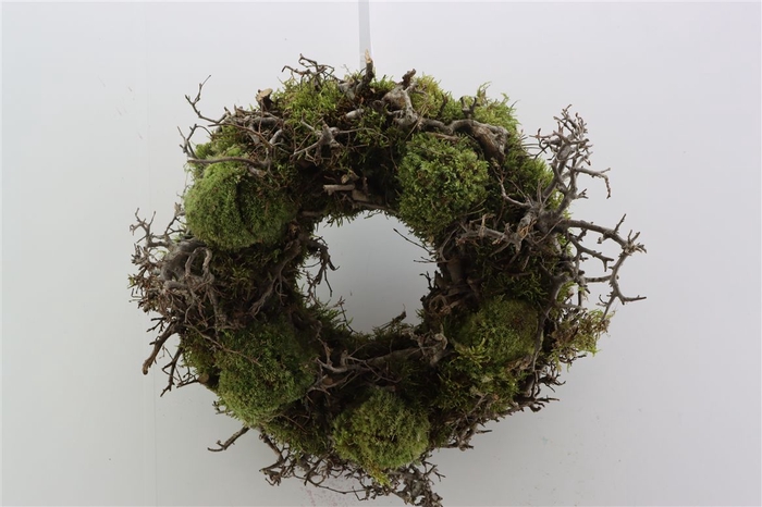 <h4>Wr Bonsai Mix Boll Moss 35cm</h4>