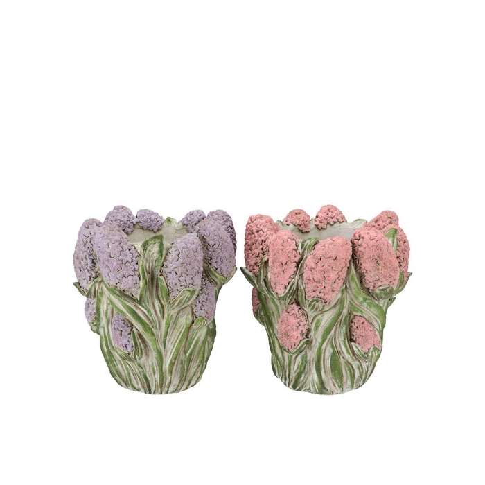 <h4>Dante Pink Lilac Pot Hyacinth Ass 22x22x19cm</h4>