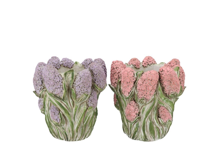 <h4>Dante Pink Lilac Pot Hyacinth Ass 22x22x19cm</h4>