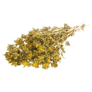 Bidens (carthamus) Yellow