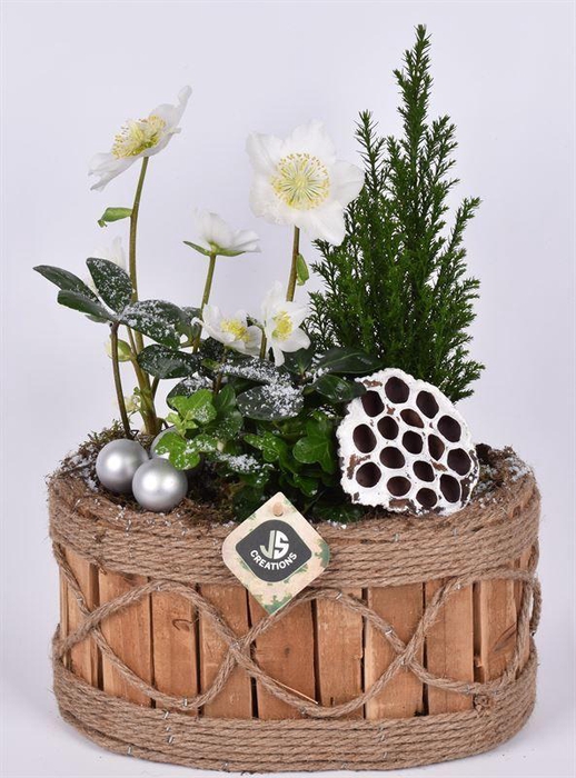 <h4>Hout ovaal touw decor 26x16cm</h4>