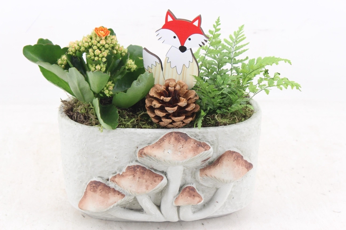 <h4>arr2 JS - Cement ovaal paddenstoel x5</h4>
