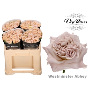 R GR WMINSTER ABBEY! x40