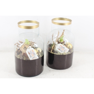 arr4 Amaryllis PL - Glas milano black&gold