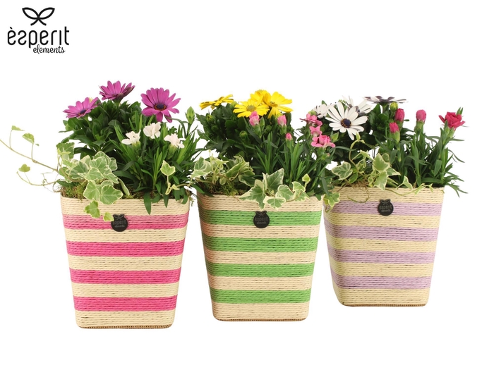 <h4>31837: Outdoor Summer arrangement</h4>