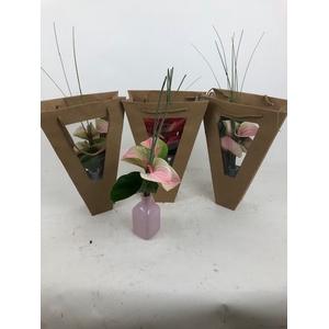 Evanty vaas 5 bloem in tas Evanty vaas 5 bloem in tas