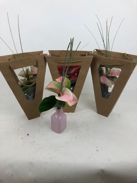 <h4>Evanty vaas 5 bloem in tas Evanty vaas 5 bloem in tas</h4>