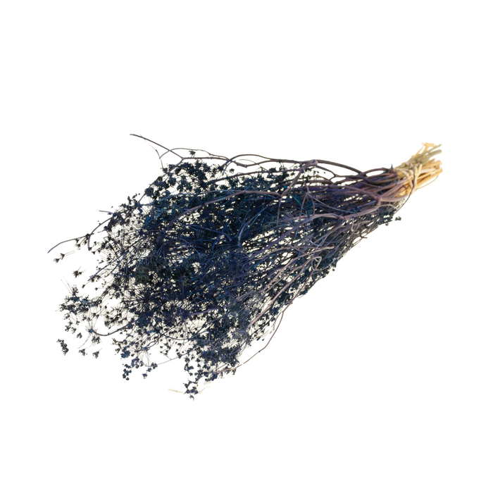 <h4>Bupleurum Open 55cm Dark Blue</h4>