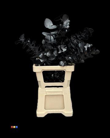 <h4>Cinerea Black</h4>