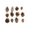 Pinecone Silvester 5kg