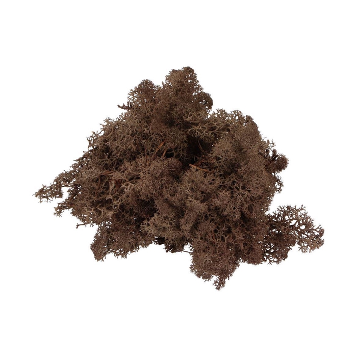 <h4>Mos Iceland Bruin 500gram</h4>