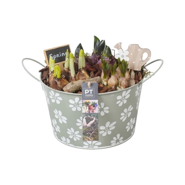 <h4>PTBM3057 Arrangement Bloembollenmix in zink pot</h4>