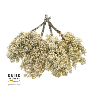 Dried Bleached Pepper Berries