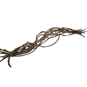 Bundle Crazy Vine 10 Pcs L60