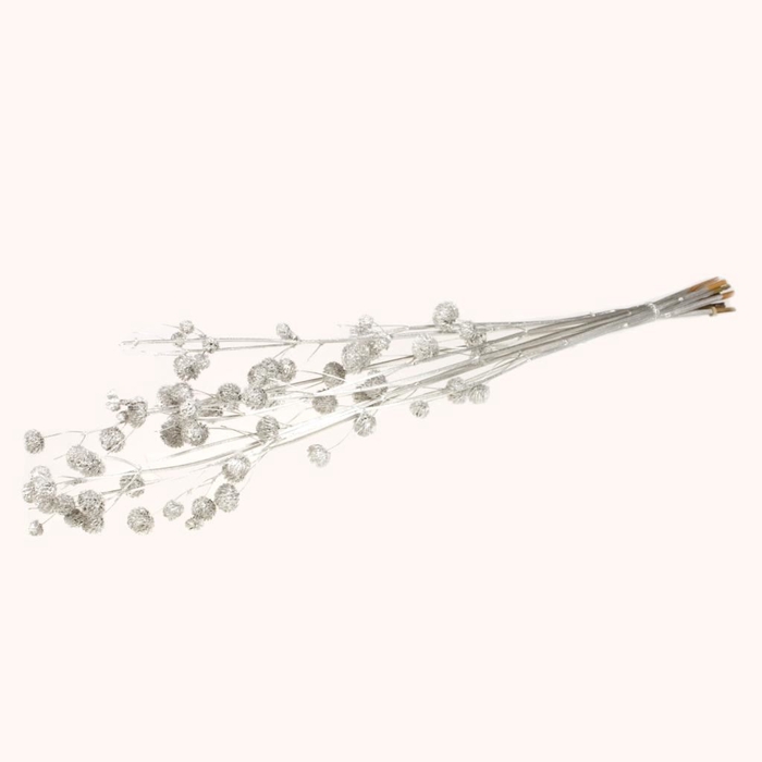 <h4>Calicarpa silver</h4>