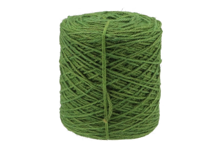 <h4>Ribbon Jute Cord Mint Green 3.5mm A 1 Kilo</h4>