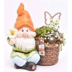 Arr.  Sempervivum L%