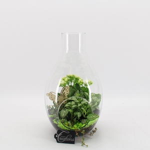 BACR-2505GR Basic fundamentals terrarium