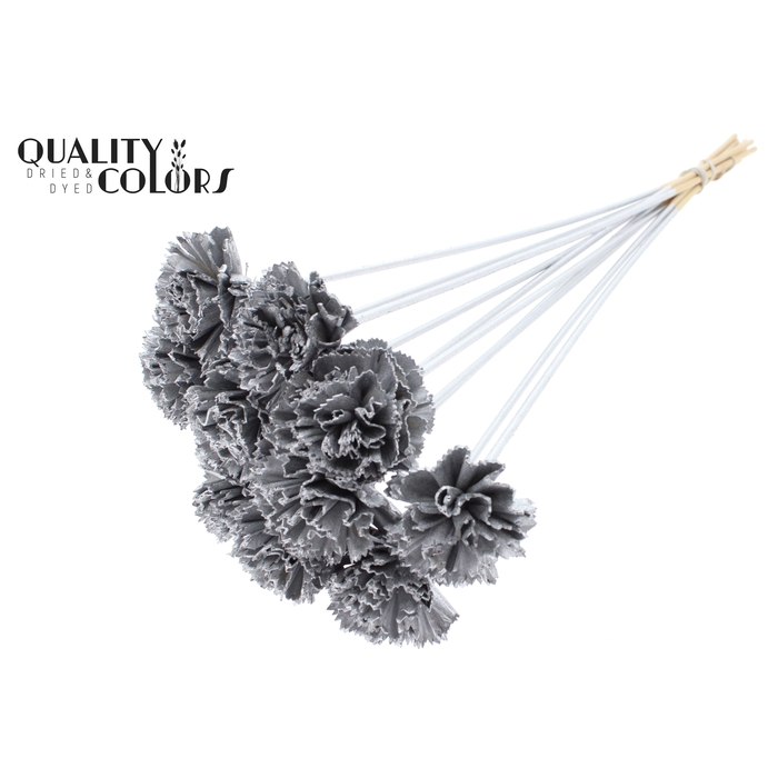 <h4>Shola Karnish Flower 6cm on stem Silver</h4>