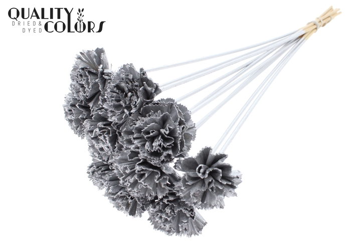 Shola Karnish Flower 6cm on stem Silver
