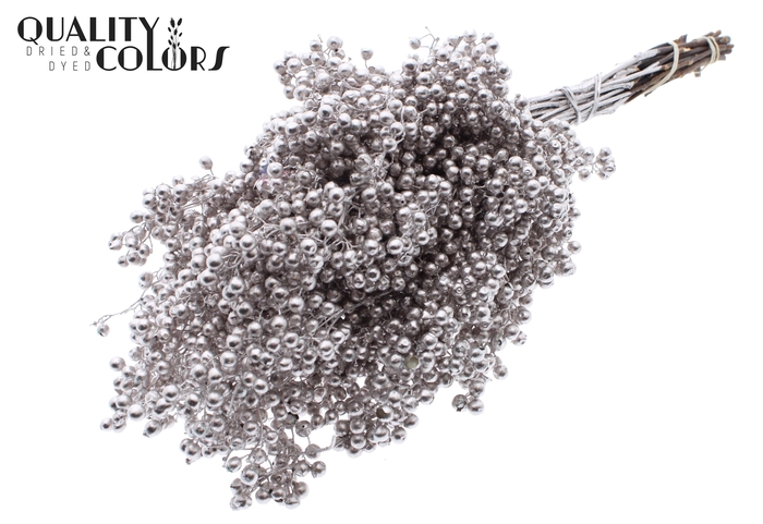 <h4>Dried schinus mollis paint champagne</h4>