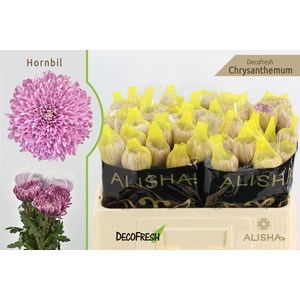 CHR G HORNBILL 50 GR.