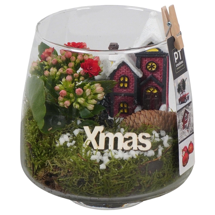 Deco Christmas Arrangement 14Ø 24cm