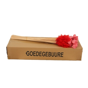 HUIS EN TUINDECO H%