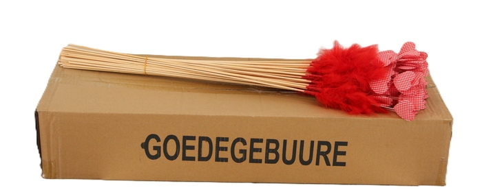 <h4>HUIS EN TUINDECO H%</h4>