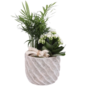 Yearround Arr. Indoor Ceramic Naturel Touch NT668 Ø15cm 2PP