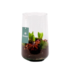 Green Bottle Deline Large met Hyacint