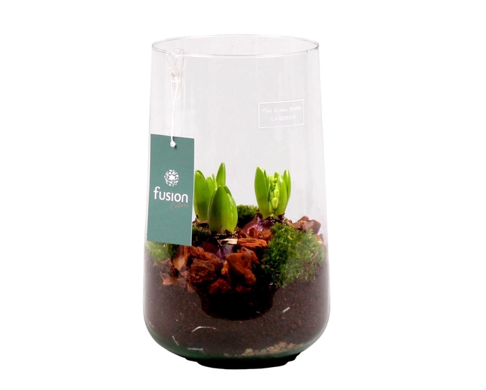 <h4>Green Bottle Deline Large met Hyacint</h4>