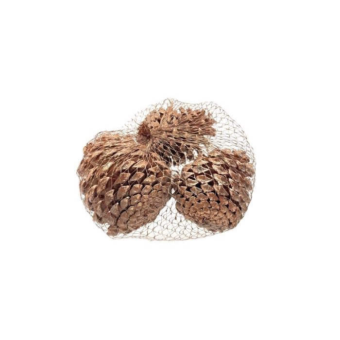 <h4>Pinecone Maritima 3pcs L10</h4>