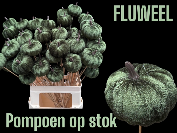 <h4>HUIS EN TUINDECO H%</h4>