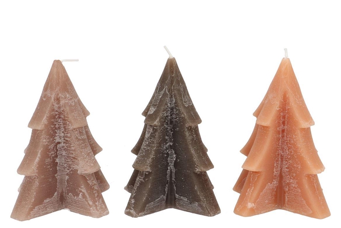 <h4>Candle Frosty Pine Tree Woods Brown Mix 12x15cm Ass</h4>