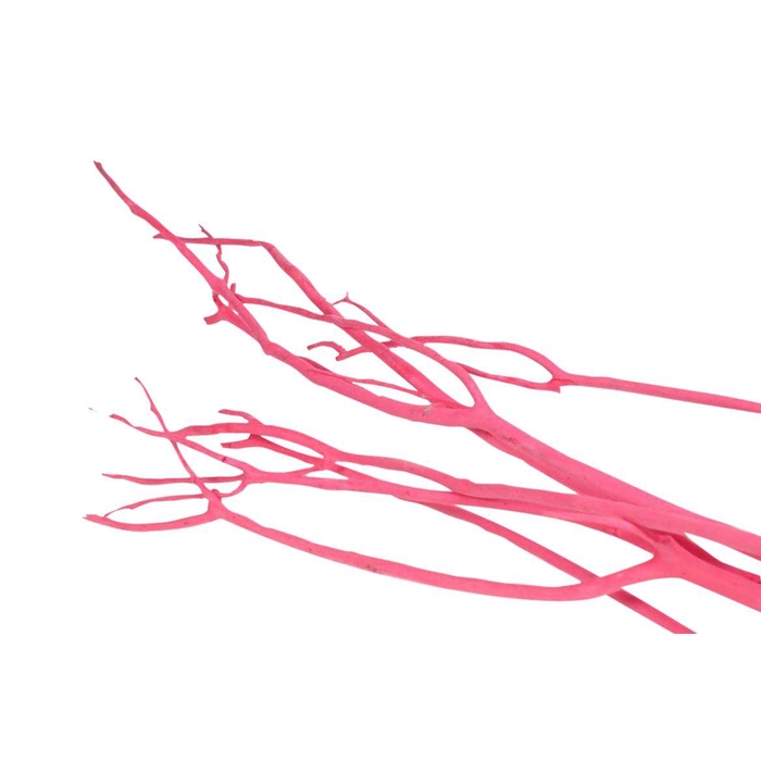 <h4>Bundle Mitsumata Flaked 3 Pcs L115</h4>