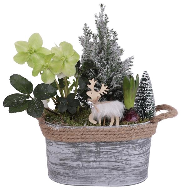 <h4>Winter Arr. Outdoor Zinc Pot Oval Rope Ø29cm 3PP</h4>