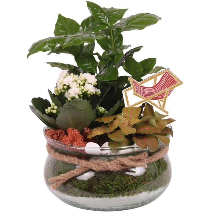 <h4>Opm Maritime Arr. Indoor Glass Bowl With Rope</h4>