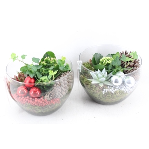 Arr. 2MB - Glas coupe x2 - rood/wit