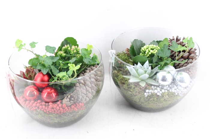 <h4>Arr. 2MB - Glas coupe x2 - rood/wit</h4>